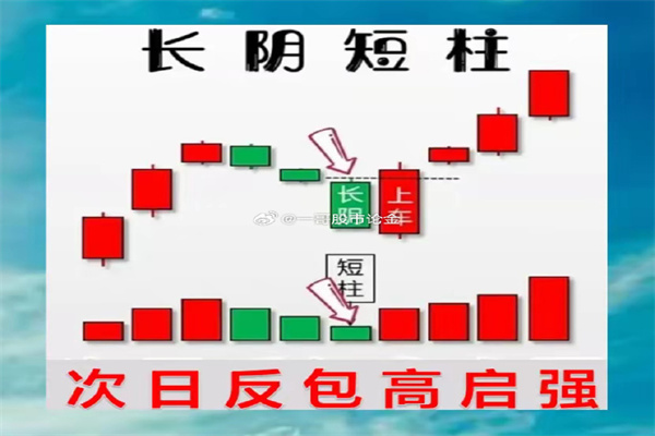2025年5月5日全国主要批发市场芹菜价格行情