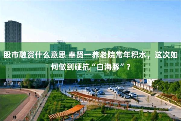 股市融资什么意思 奉贤一养老院常年积水，这次如何做到硬抗“白海豚”？