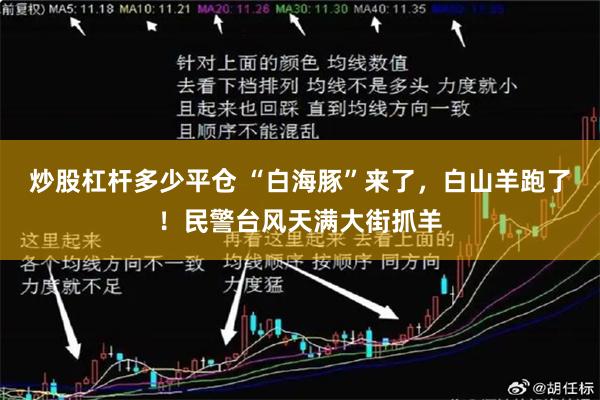 炒股杠杆多少平仓 “白海豚”来了，白山羊跑了！民警台风天满大街抓羊
