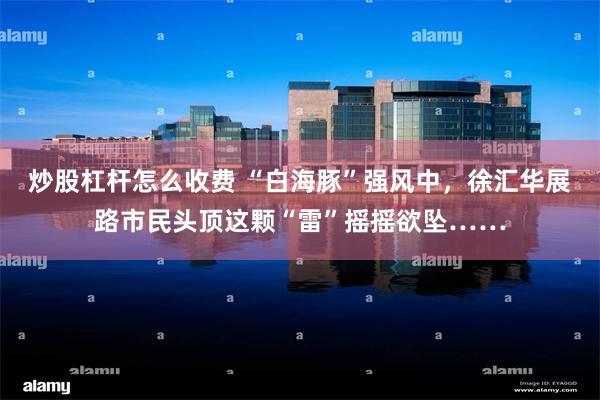 炒股杠杆怎么收费 “白海豚”强风中，徐汇华展路市民头顶这颗“雷”摇摇欲坠……