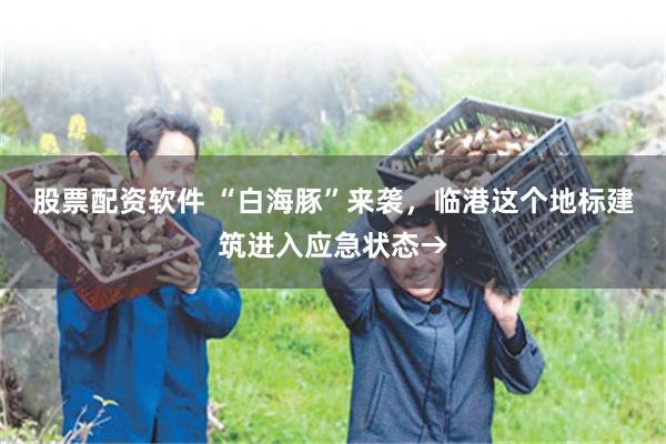 股票配资软件 “白海豚”来袭，临港这个地标建筑进入应急状态→