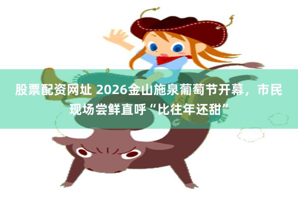 股票配资网址 2026金山施泉葡萄节开幕,市民现场尝鲜直呼“比往年还甜”