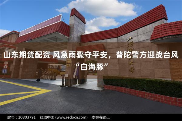 山东期货配资 风急雨骤守平安，普陀警方迎战台风“白海豚”
