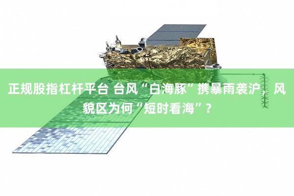 正规股指杠杆平台 台风“白海豚”携暴雨袭沪，风貌区为何“短时看海”？