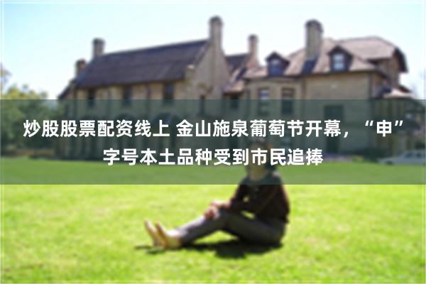 炒股股票配资线上 金山施泉葡萄节开幕，“申”字号本土品种受到市民追捧