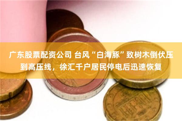 广东股票配资公司 台风“白海豚”致树木倒伏压到高压线，徐汇千户居民停电后迅速恢复