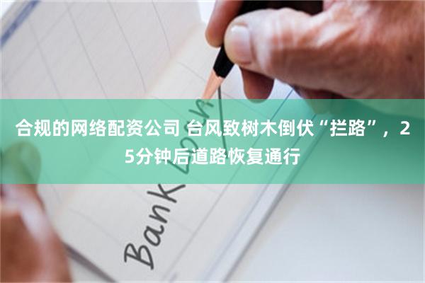 合规的网络配资公司 台风致树木倒伏“拦路”，25分钟后道路恢复通行