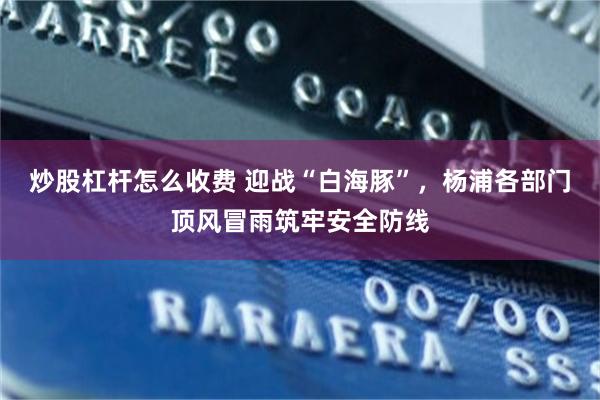 炒股杠杆怎么收费 迎战“白海豚”，杨浦各部门顶风冒雨筑牢安全防线