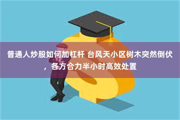 普通人炒股如何加杠杆 台风天小区树木突然倒伏，各方合力半小时高效处置