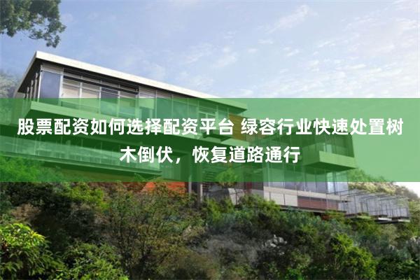 股票配资如何选择配资平台 绿容行业快速处置树木倒伏，恢复道路通行