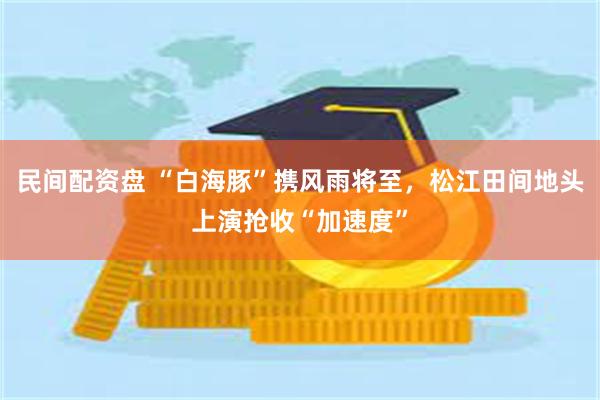 民间配资盘 “白海豚”携风雨将至，松江田间地头上演抢收“加速度”