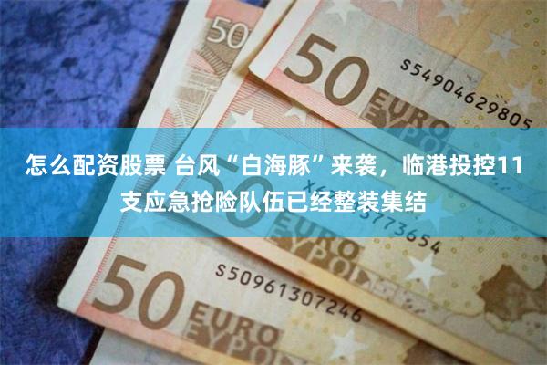 怎么配资股票 台风“白海豚”来袭，临港投控11支应急抢险队伍已经整装集结