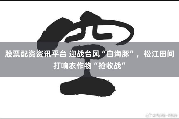股票配资资讯平台 迎战台风“白海豚”，松江田间打响农作物“抢收战”