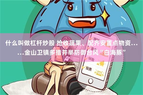 什么叫做杠杆炒股 抢收蔬果、配齐安置点物资……金山卫镇多措并举防御台风“白海豚”