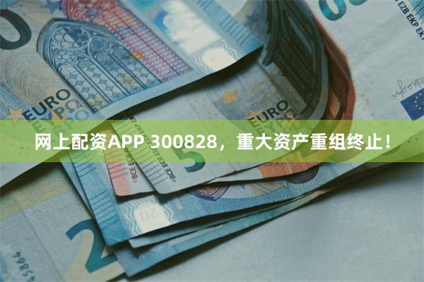 网上配资APP 300828，重大资产重组终止！