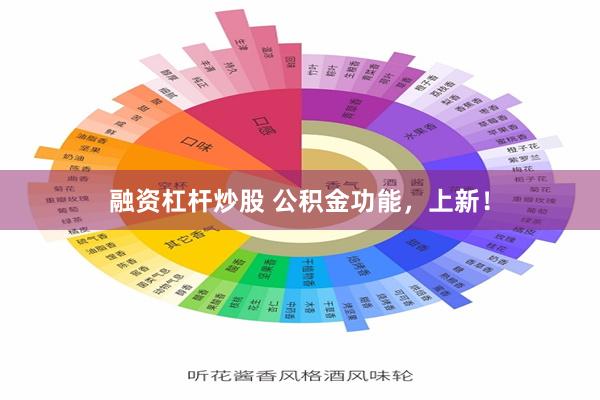 融资杠杆炒股 公积金功能，上新！