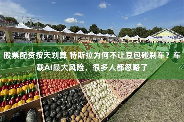股票配资按天划算 特斯拉为何不让豆包碰刹车？车载AI最大风险，很多人都忽略了