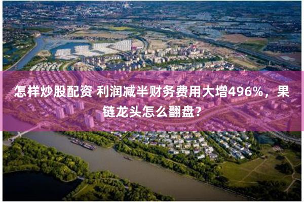 怎样炒股配资 利润减半财务费用大增496%，果链龙头怎么翻盘？