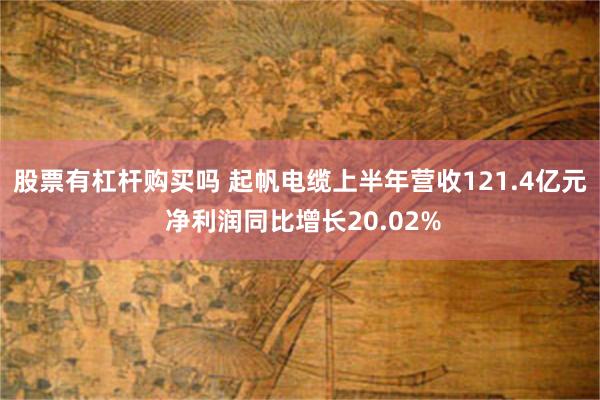 股票有杠杆购买吗 起帆电缆上半年营收121.4亿元 净利润同比增长20.02%