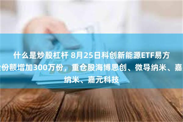 什么是炒股杠杆 8月25日科创新能源ETF易方达基金份额增加300万份，重仓股海博思创、微导纳米、嘉元科技