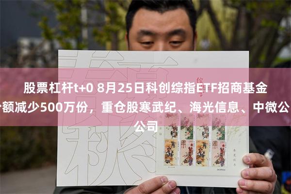 股票杠杆t+0 8月25日科创综指ETF招商基金份额减少500万份，重仓股寒武纪、海光信息、中微公司