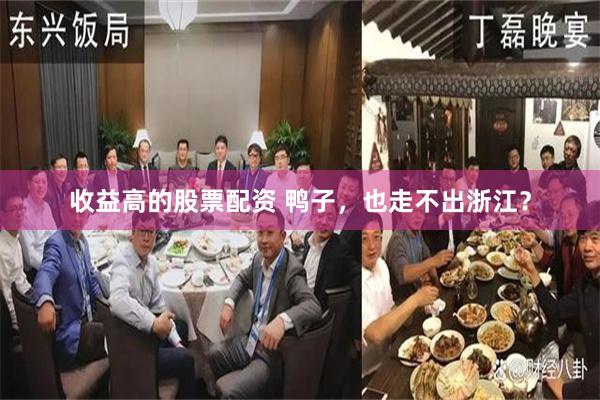 收益高的股票配资 鸭子，也走不出浙江？