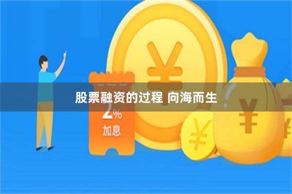 股票融资的过程 向海而生